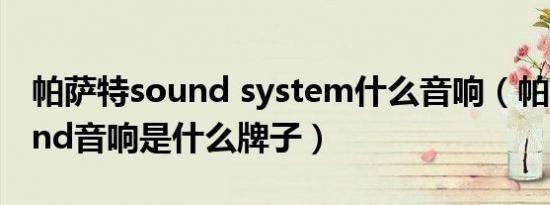 帕萨特sound system什么音响（帕萨特sound音响是什么牌子）