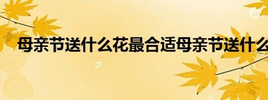 母亲节送什么花最合适母亲节送什么花好