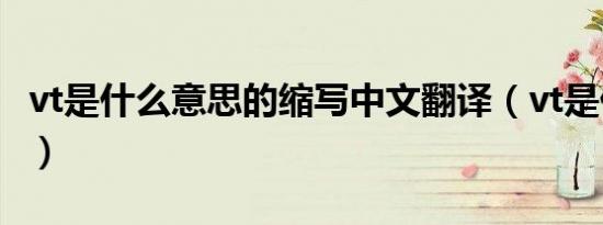 vt是什么意思的缩写中文翻译（vt是什么意思）