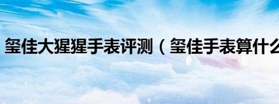 玺佳大猩猩手表评测（玺佳手表算什么档次）