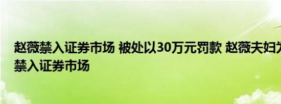 赵薇禁入证券市场 被处以30万元罚款 赵薇夫妇为什么会被禁入证券市场