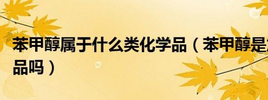 苯甲醇属于什么类化学品（苯甲醇是危险化学品吗）
