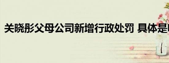 关晓彤父母公司新增行政处罚 具体是啥情况