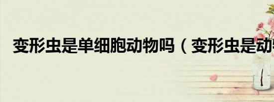 变形虫是单细胞动物吗（变形虫是动物吗）