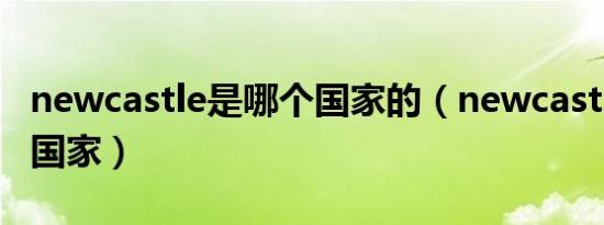 newcastle是哪个国家的（newcastle在哪个国家）