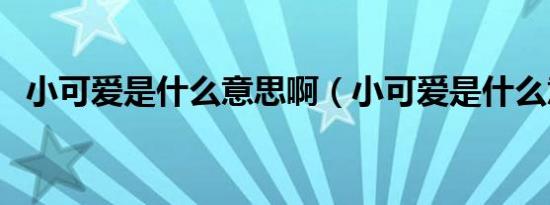 小可爱是什么意思啊（小可爱是什么意思）