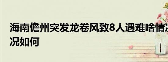 海南儋州突发龙卷风致8人遇难啥情况目前情况如何
