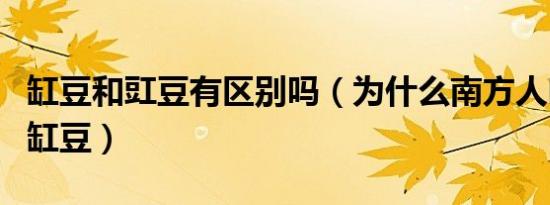 缸豆和豇豆有区别吗（为什么南方人叫豇豆为缸豆）