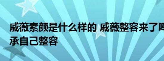 戚薇素颜是什么样的 戚薇整容来了吗 戚薇坦承自己整容