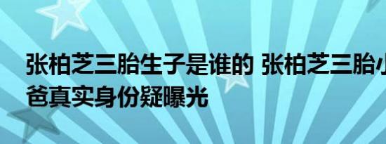 张柏芝三胎生子是谁的 张柏芝三胎小王子爸爸真实身份疑曝光