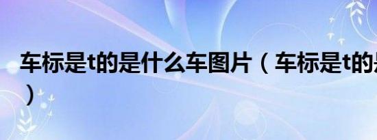 车标是t的是什么车图片（车标是t的是什么车）