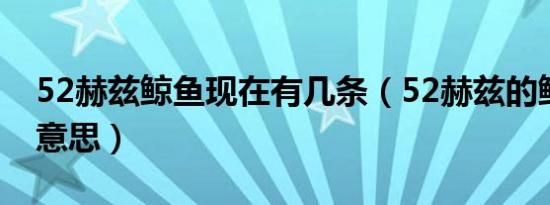 52赫兹鲸鱼现在有几条（52赫兹的鲸鱼什么意思）