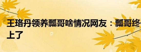 王珞丹领养瓢哥啥情况网友：瓢哥终于给安排上了