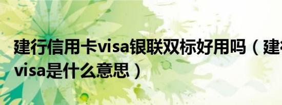 建行信用卡visa银联双标好用吗（建行信用卡visa是什么意思）