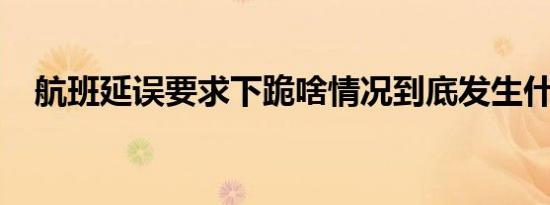 航班延误要求下跪啥情况到底发生什么事