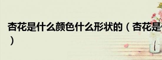 杏花是什么颜色什么形状的（杏花是什么颜色）