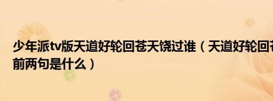 少年派tv版天道好轮回苍天饶过谁（天道好轮回苍天饶过谁前两句是什么）