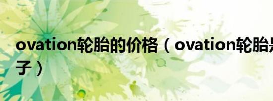 ovation轮胎的价格（ovation轮胎是什么牌子）