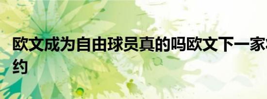 欧文成为自由球员真的吗欧文下一家将和谁签约