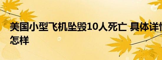 美国小型飞机坠毁10人死亡 具体详情情况是怎样