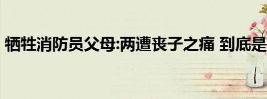 牺牲消防员父母:两遭丧子之痛 到底是啥情况