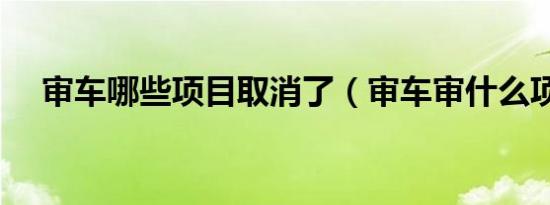 审车哪些项目取消了（审车审什么项目）