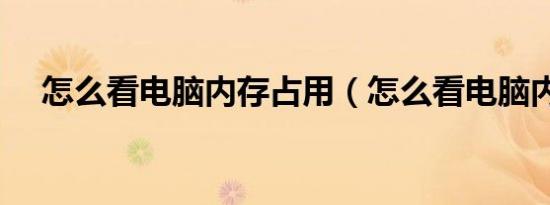 怎么看电脑内存占用（怎么看电脑内存）