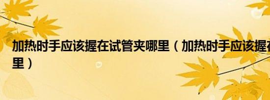 加热时手应该握在试管夹哪里（加热时手应该握在试管夹哪里）