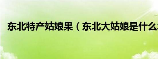 东北特产姑娘果（东北大姑娘是什么水果）