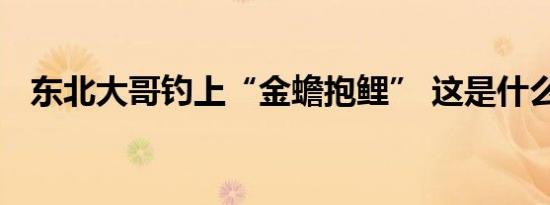 东北大哥钓上“金蟾抱鲤” 这是什么场面