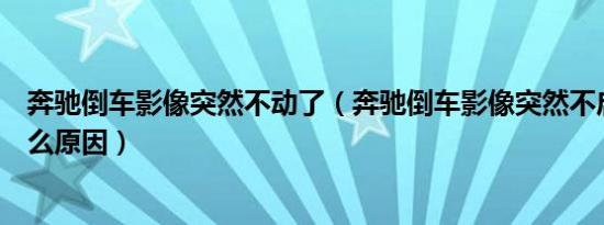 奔驰倒车影像突然不动了（奔驰倒车影像突然不启动了是什么原因）