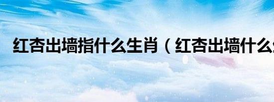红杏出墙指什么生肖（红杏出墙什么生肖）