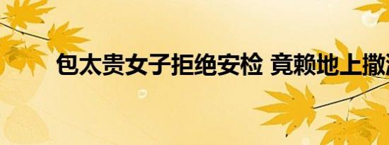 包太贵女子拒绝安检 竟赖地上撒泼