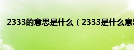 2333的意思是什么（2333是什么意思啊）