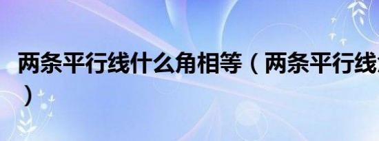 两条平行线什么角相等（两条平行线角的关系）