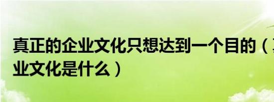 真正的企业文化只想达到一个目的（真正的企业文化是什么）
