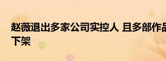 赵薇退出多家公司实控人 且多部作品被平台下架