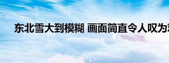 东北雪大到模糊 画面简直令人叹为观止