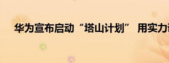 华为宣布启动“塔山计划” 用实力说话
