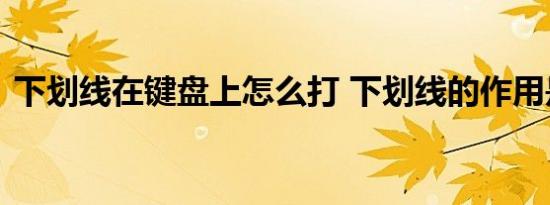 下划线在键盘上怎么打 下划线的作用是什么