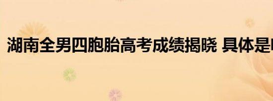 湖南全男四胞胎高考成绩揭晓 具体是啥情况