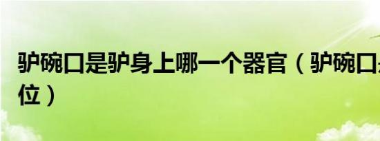 驴碗口是驴身上哪一个器官（驴碗口是什么部位）