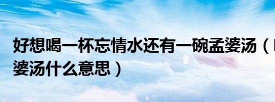 好想喝一杯忘情水还有一碗孟婆汤（喝一碗孟婆汤什么意思）