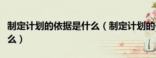 制定计划的依据是什么（制定计划的依据是什么）