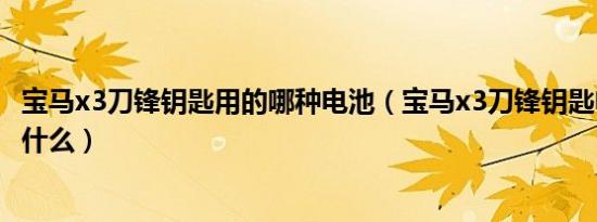 宝马x3刀锋钥匙用的哪种电池（宝马x3刀锋钥匙电池规格是什么）