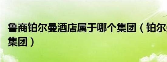 鲁商铂尔曼酒店属于哪个集团（铂尔曼是哪个集团）