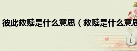 彼此救赎是什么意思（救赎是什么意思网络）