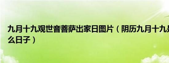 九月十九观世音菩萨出家日图片（阴历九月十九是菩萨的什么日子）