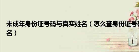 未成年身份证号码与真实姓名（怎么查身份证号码和真实姓名）