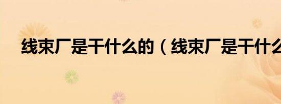 线束厂是干什么的（线束厂是干什么的）